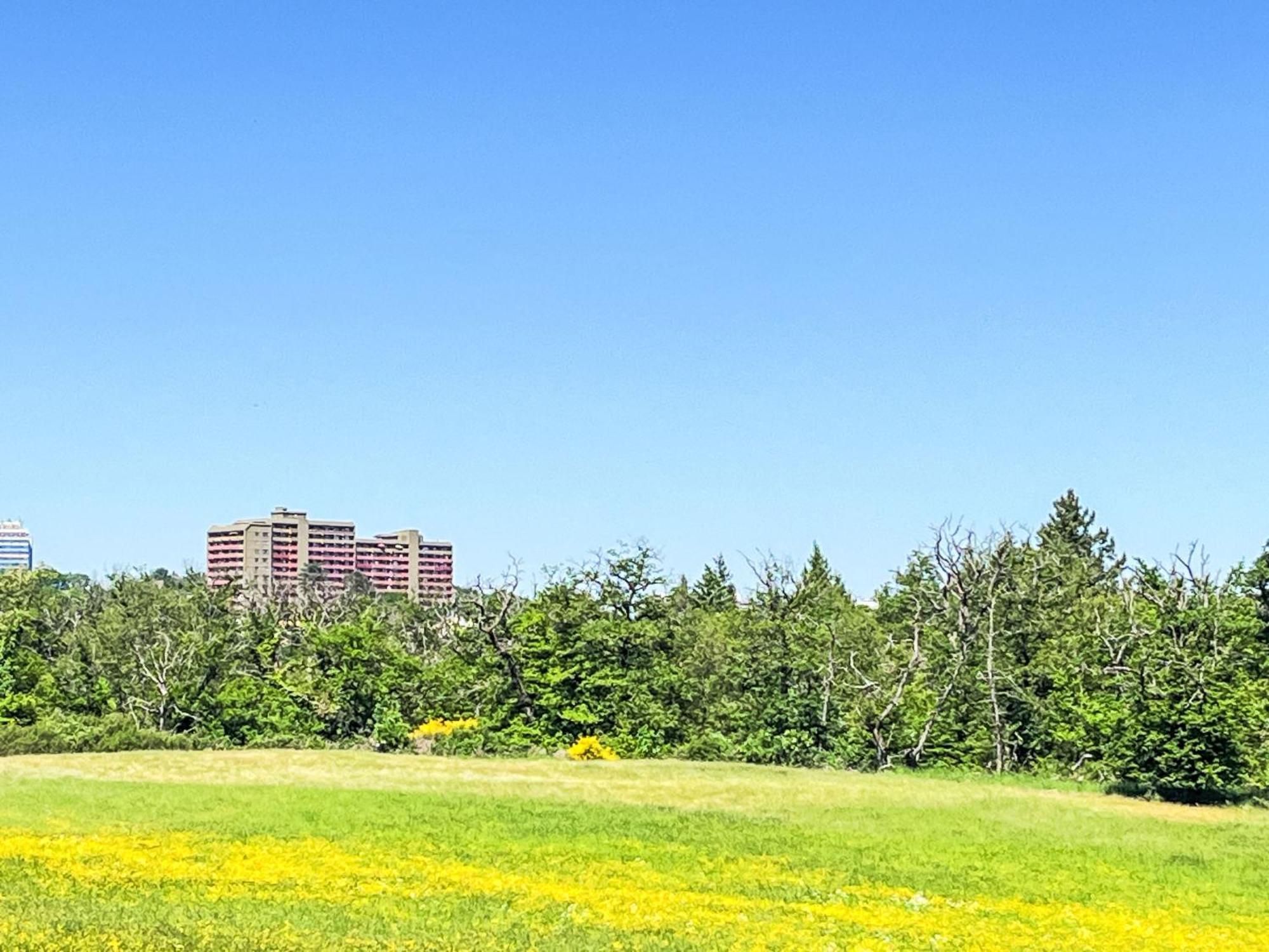 Apartment B1013 By Interhome ラーンシュタイン エクステリア 写真